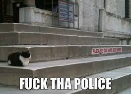 Cat Fuck the Police