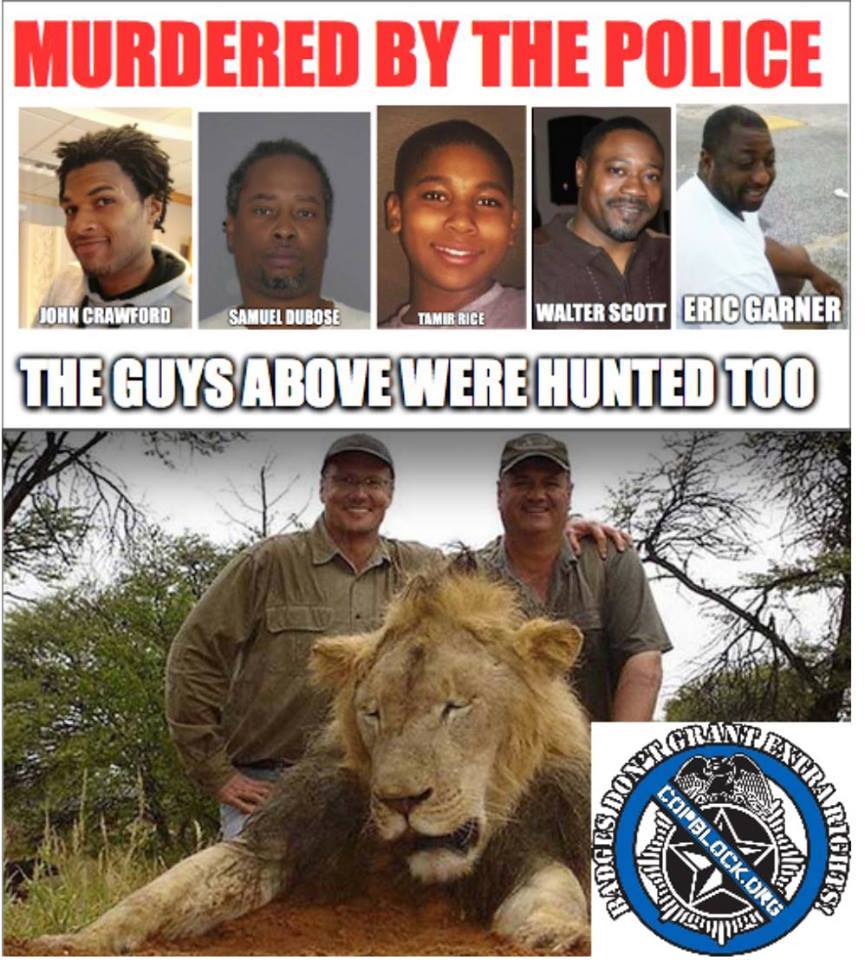 cecil the lion police hunt kill