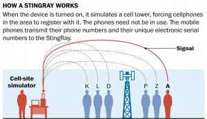 How Stingray Works