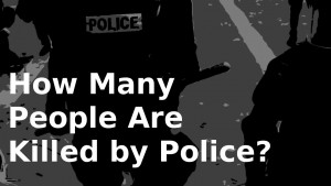 click graphic to see video reflection of people killed by police. 