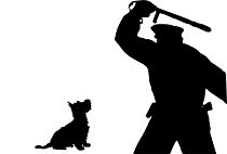 Police Kill Dogs