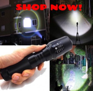 Attention people!! The G700 Flashlight is so bright it can blind a bear! This flashlight is indestructible and the brightest light you have EVER seen. Order yours now at 75% OFF: LIMITED time! Click Graphic NOW