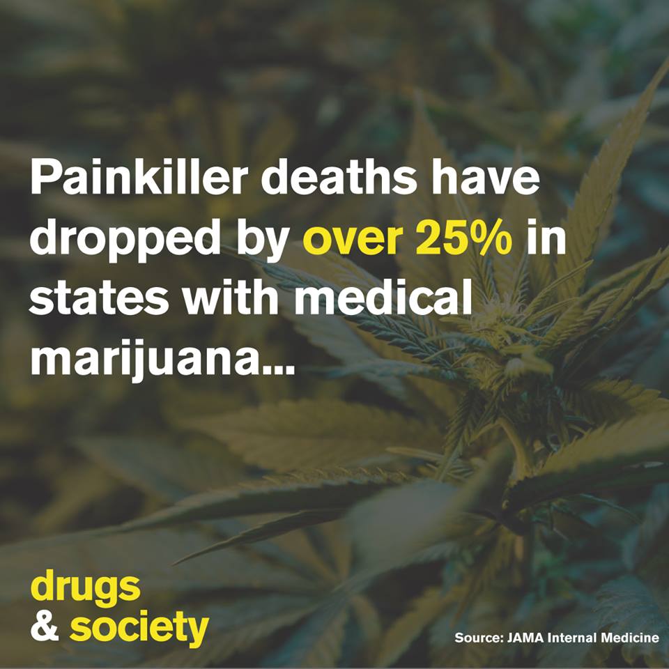 med marijuana opioids