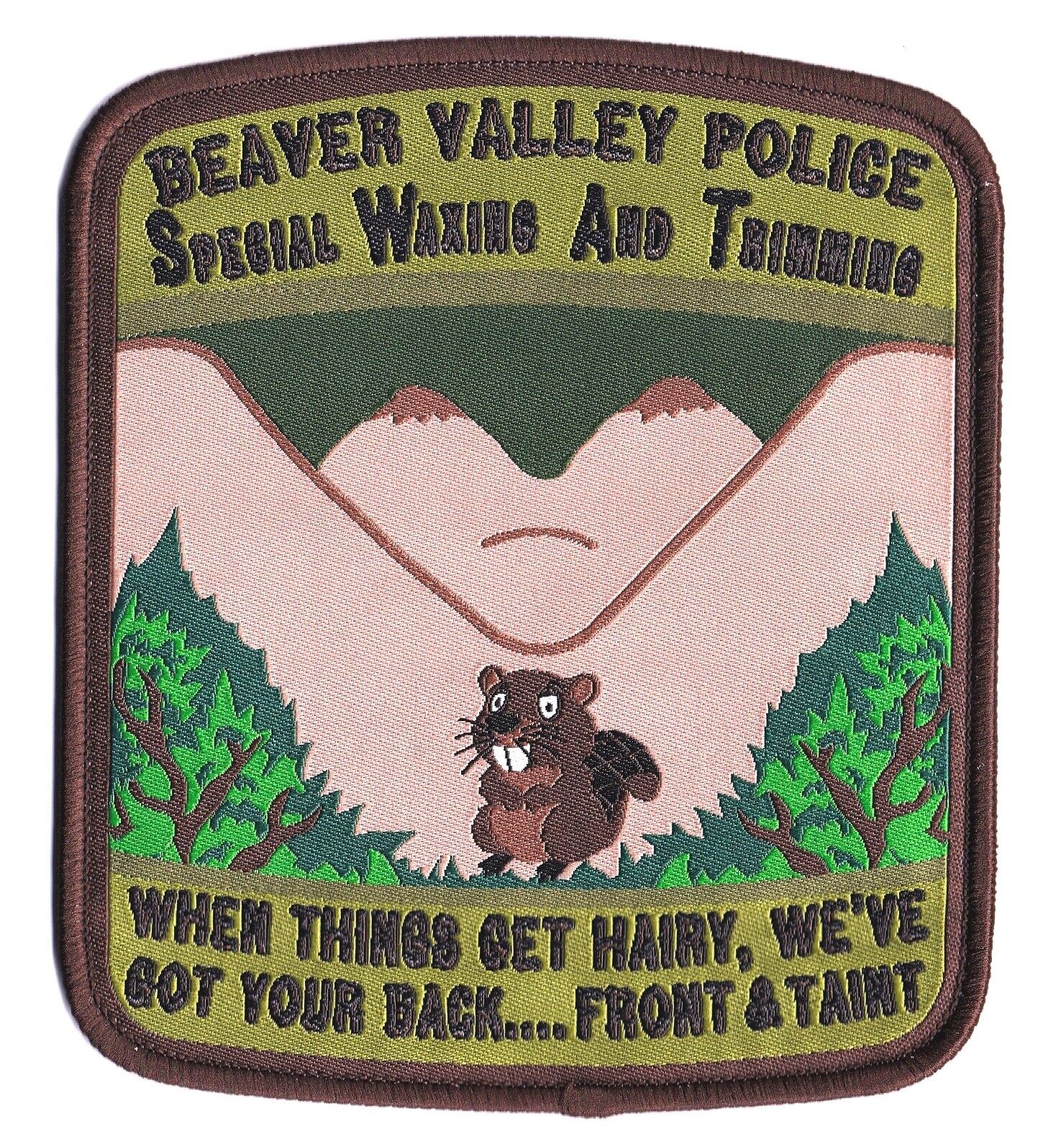 NEW STYLE  BEAVER VALLEY POLICE  SWAT  SERT   SUBDUED  PA  PENNSYLVANIA  NOVELTY