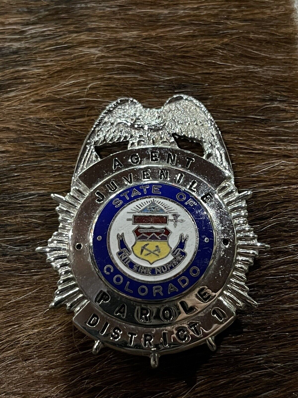 Obsolete Badge Colorado Parole Police Corrections