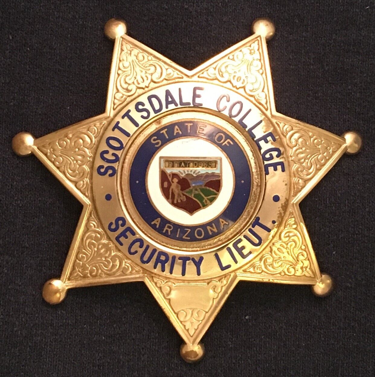 Obsolete Scottsdale College Security Lieutenant Badge Arizona