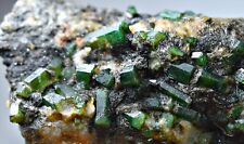 331 Ct Full Terminated Top Green Swat Emerald Crystals Bunches On Matrix @Pak picture