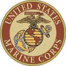 UNITED STATES MARINES CORPS      3 inch Round Patch    Desert Style picture