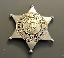 Illinois Cook County Deputy Badge picture