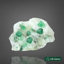 Natural Emerald Crystals On Flat Matrix From Swat Pakistan 25CT Mineral Specimen picture