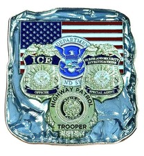 ICE HSI FHP 287g Immigration Enforcement Ice Cube Challenge Coin Law Enforcement picture